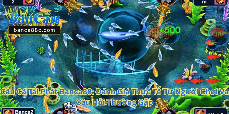 Câu Cá Tài Phát