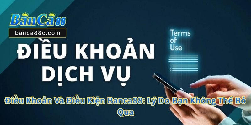 Điều Khoản Và Điều Kiện