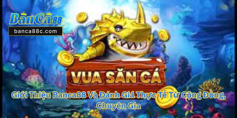 Giới Thiệu