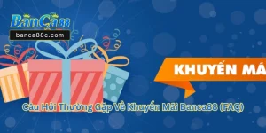 Khuyến Mãi