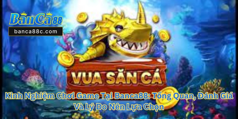 Kinh Nghiệm Chơi Game Tại Banca88