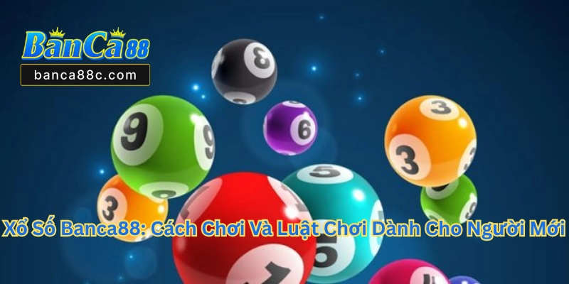 Xổ Số