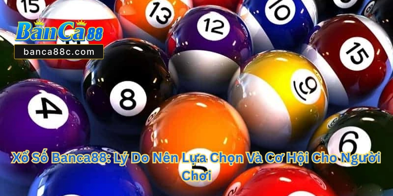 Xổ Số